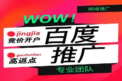 网络推广中竞价广告的投放策略及成功案例
